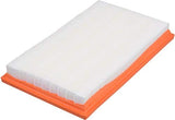 FRAM TGA4309S Tough Guard Air Filter