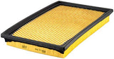 FRAM TGA4309S Tough Guard Air Filter